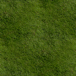 Short green grass